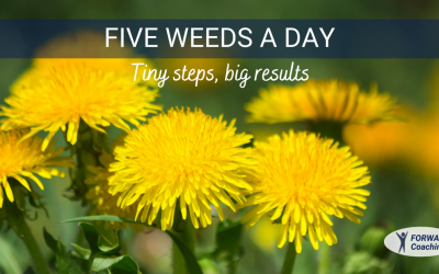 Five Weeds a Day