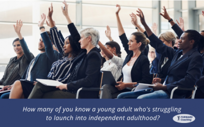 SUCCESS STREAKS: A New Approach to Help Stalled Young Adults Thrive 🌟